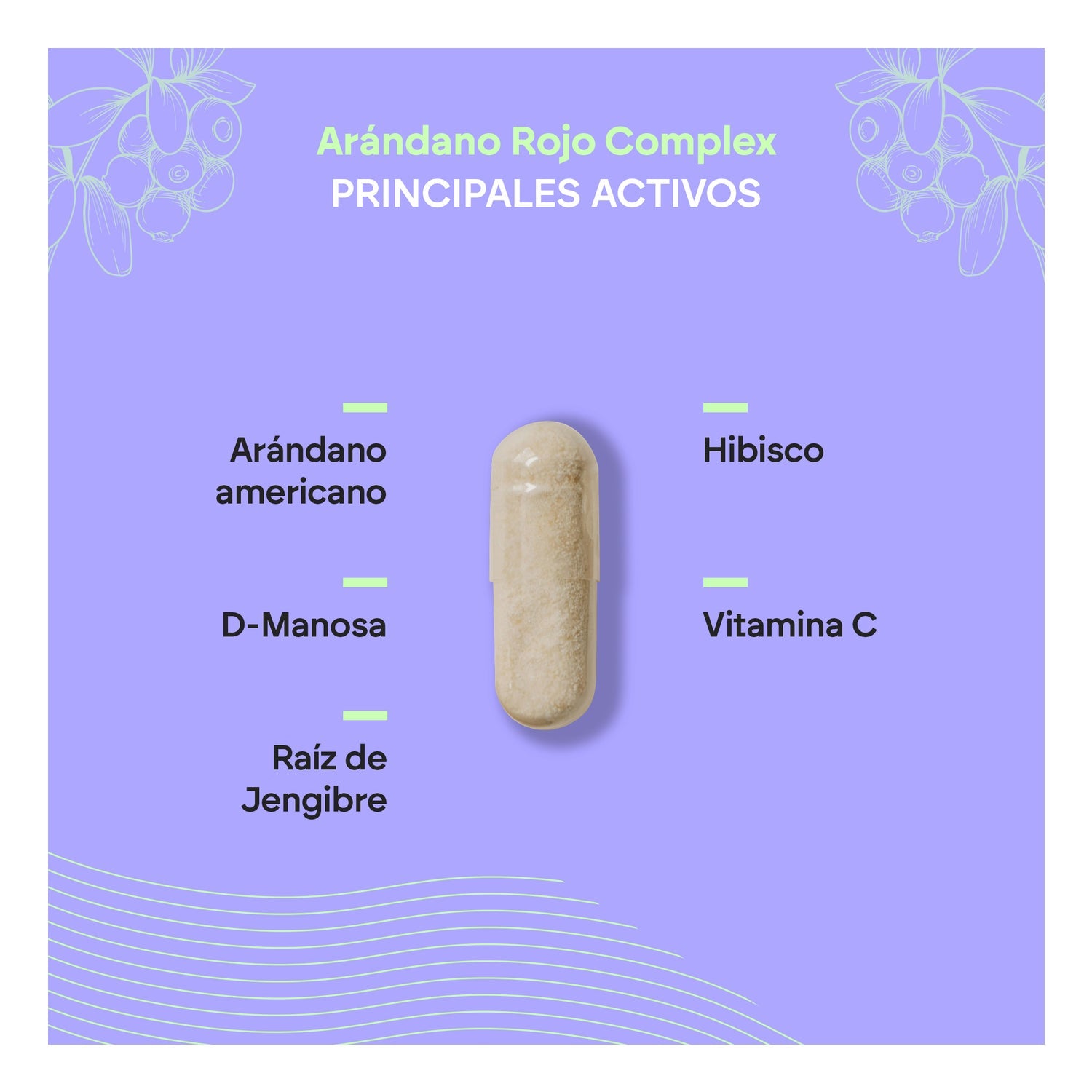 Nutralie Arándano Rojo con Vitamina C y D-Manosa 60caps