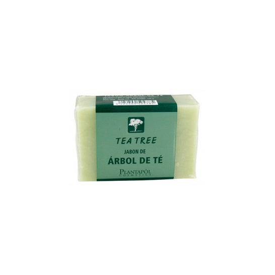 Plantapol Jabón Árbol de Té 100 g