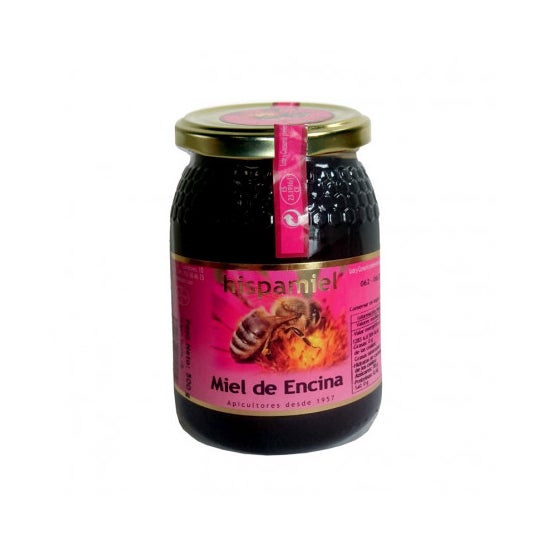 Hispamiel Miel de Encina 500 g