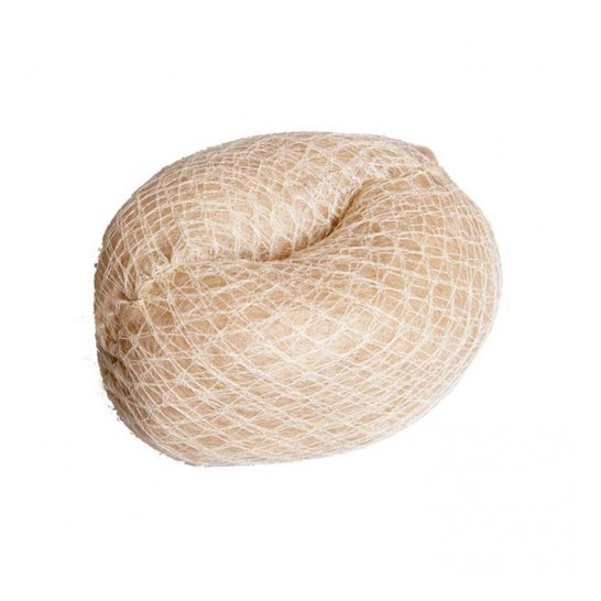 Eurostil Relleno Moño Updo grande Rubio 1 ud