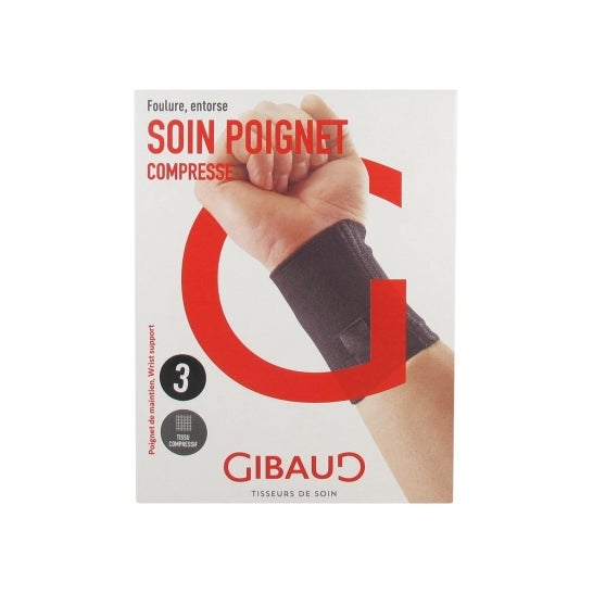 Gibaud Poign Conseil 5033 T3