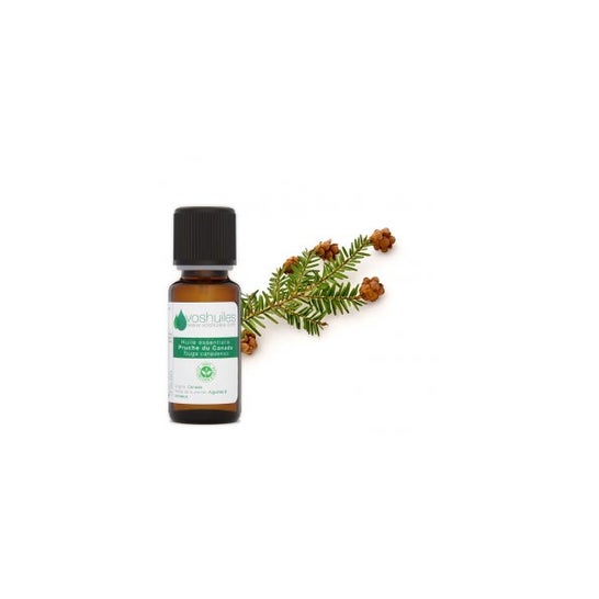 Voshuiles Aceite Esencial de Tsuga de Canadá 5 ml