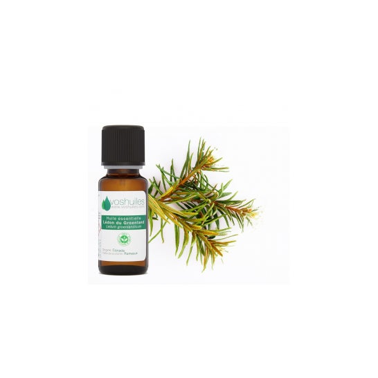 Voshuiles Aceite Esencial de Te de Labrador 5ml