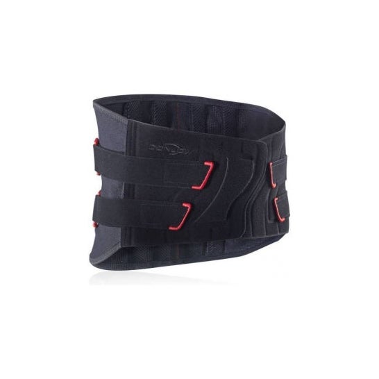 Immostrap Belted Lo H26Cm Tm
