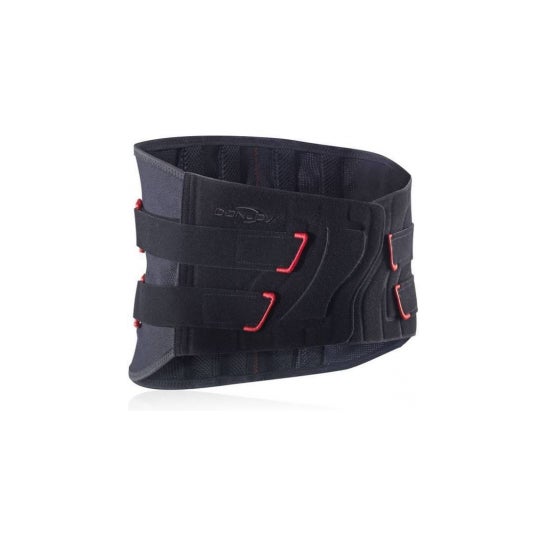 Immostrap Belted Lo H26Cm Tm