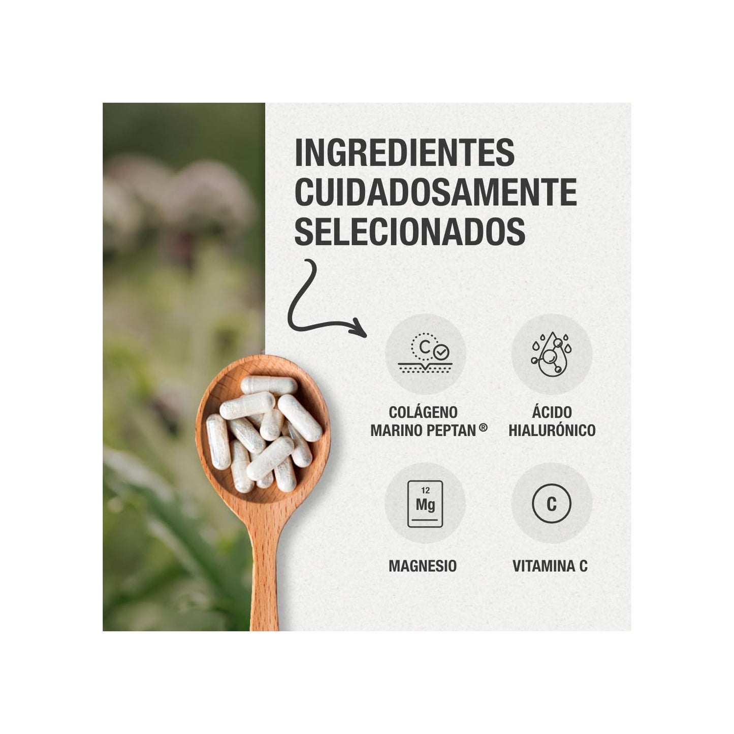 Natnatura Colágeno con Magnesio y Vitamina C 100caps