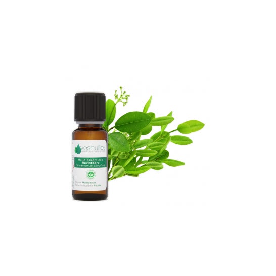 Voshuiles Aceite Esencial de Ravintsara 60ml