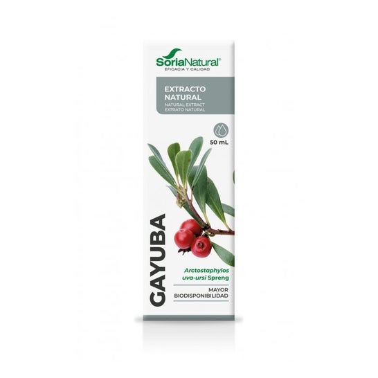 Extracto Gayuba Xxi 50 Ml Soria Natural