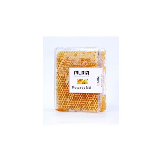 Muria Panal de Miel de Romero 450g