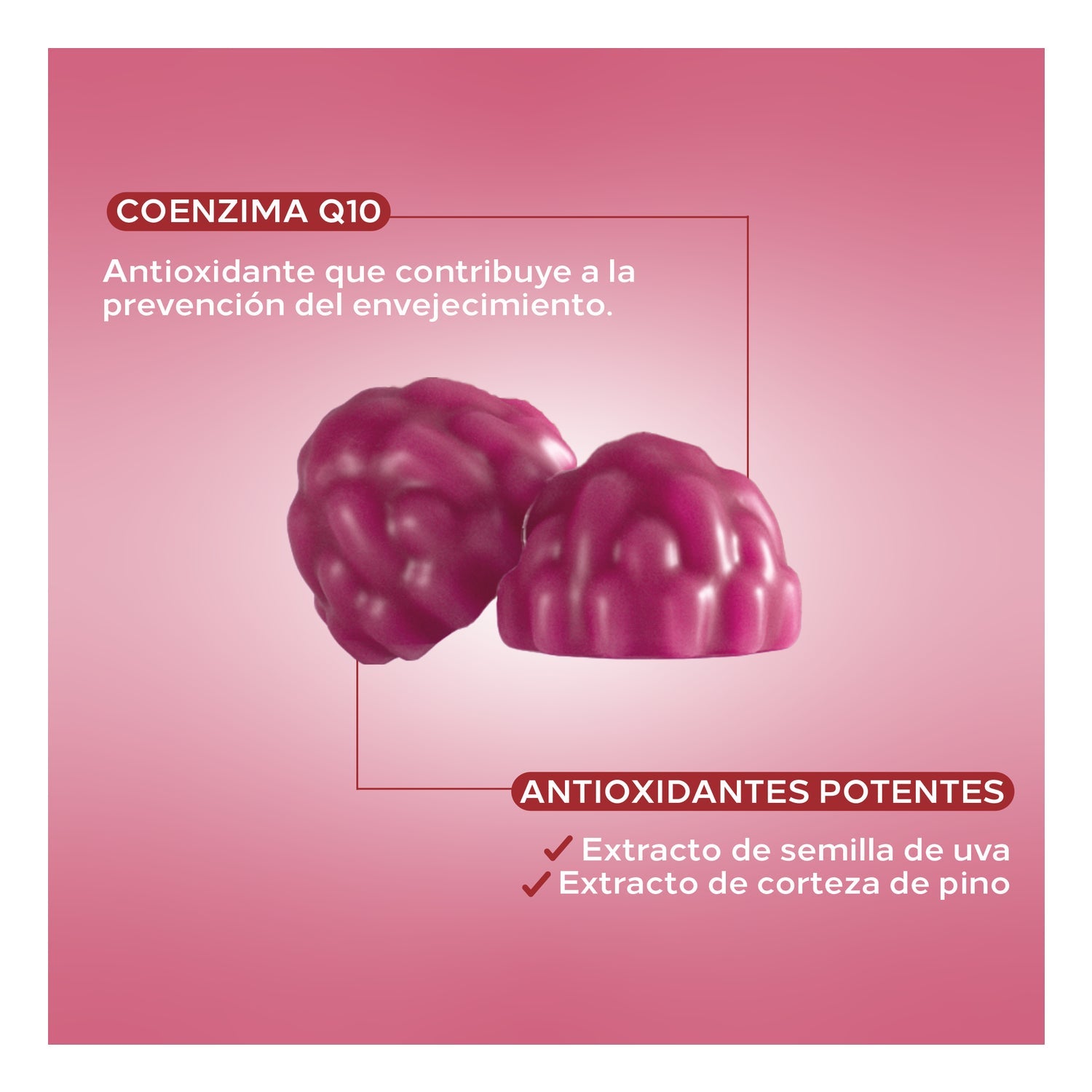 Cumlaude Lab Femgummy Antiox 60uds