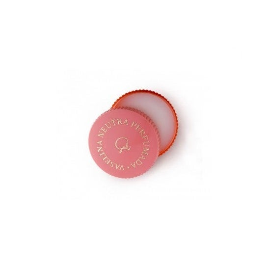 Gal vaselina neutra perfumada 13ml