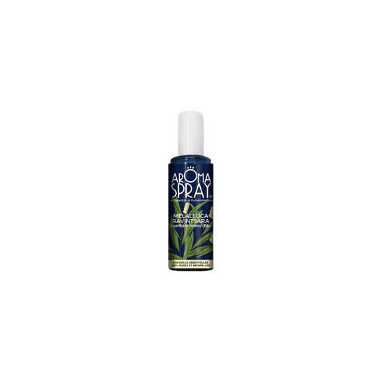 Aromaspray He Ravin/Melal Spray100ml