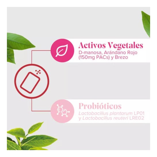 Arkopharma Cis-Control Stop 10 sobres + 5 sticks
