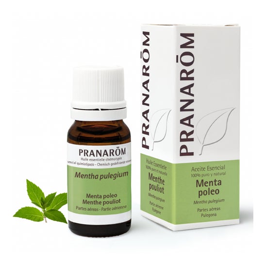 Pranarôm Aceite Esencial de Menta Poleo 10ml