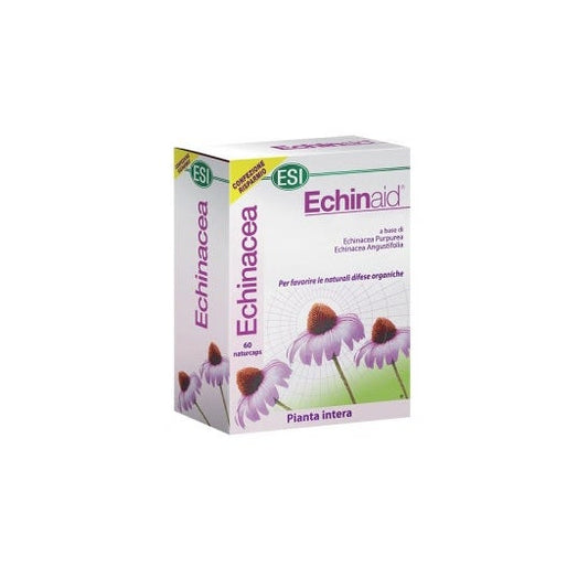 Echinaid Alta Potencia 60Cps