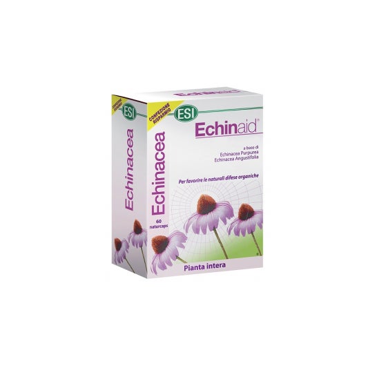 Echinaid Alta Potencia 60Cps