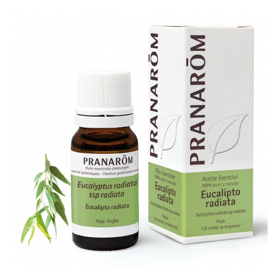 Pranarôm Aceite Esencial de Eucalipto Radiata 10ml