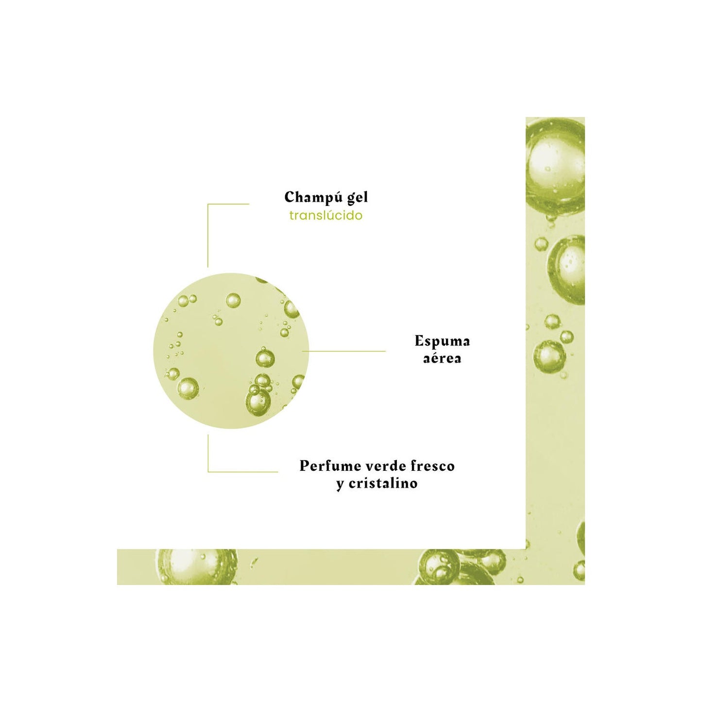 René Furterer Volumea Champú Expansor 200ml