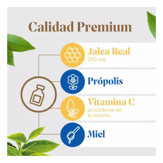 Arkopharma Arkoreal Protect Junior BIO Sabor Fresa 140ml