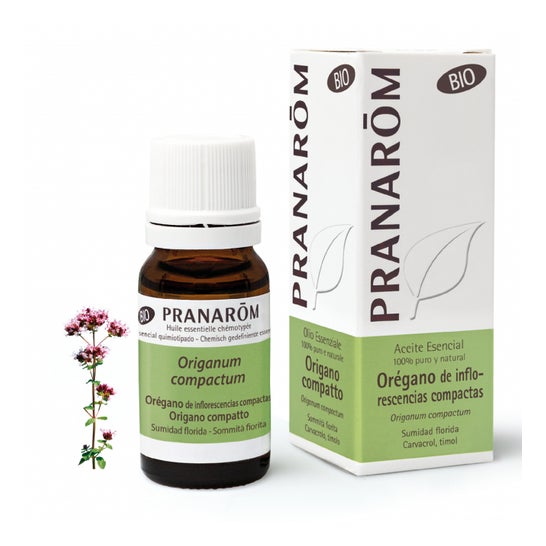 Pranarôm Aceite Esencial de Orégano de Inflorescencias Compactas BIO 10ml