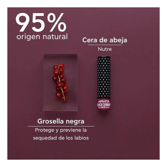 Apivita lip care grosella negra 1ud