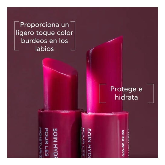 Apivita lip care grosella negra 1ud