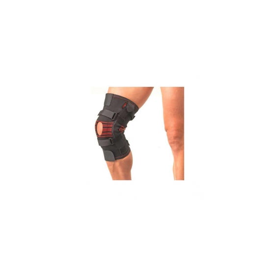 Gibaud Orthes Knee Artic6503 Negro T2