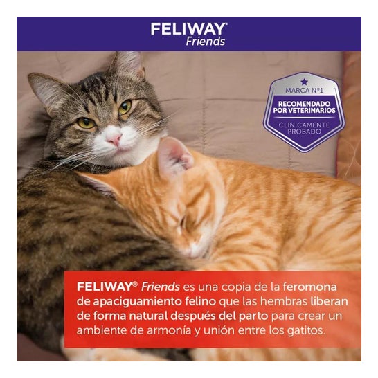 Feliway Friends Interior Recarga 48ml