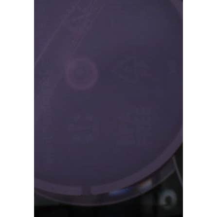 Twistshake Vaso con Pajita Color Lila 360ml