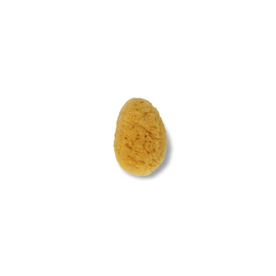 Acofar Esponja Natural Talla Pequeña 1ud