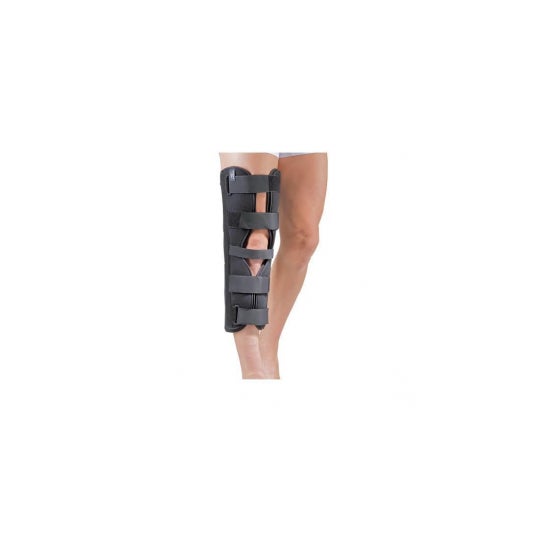Gibaud Attel Orto de rodilla Univer6437 T0