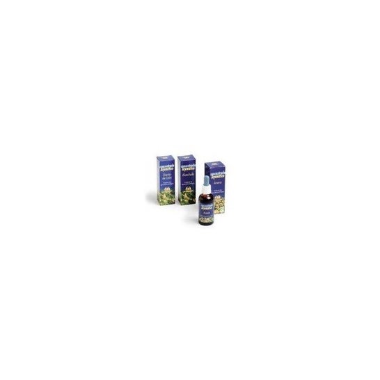 Plantis Propolis 50ml