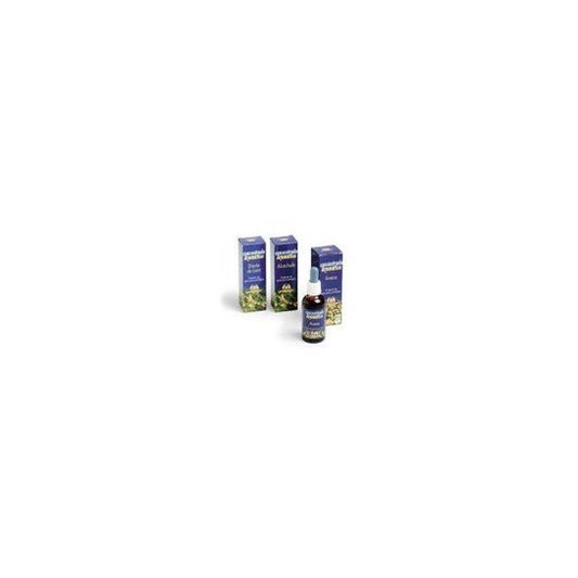 Plantis Propolis 50ml