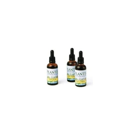 Plantis Ginkgo 50 ml