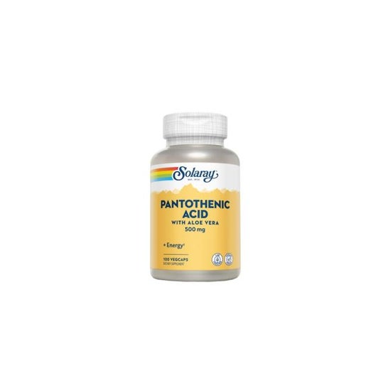 Solaray Pantothenic Acid 500mg 100cáps