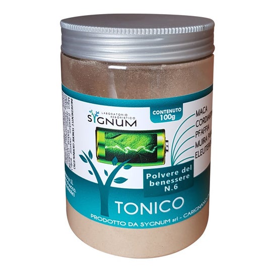 Sygnum Wellness Polvo Nro 6 Energizante 100g