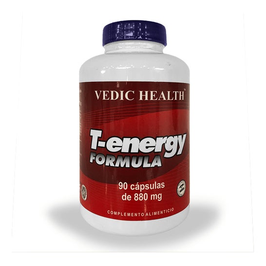 Vbyotics T-Energy Fórmula 90caps