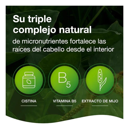 Priorin Cápsulas Anticaída 2x60caps