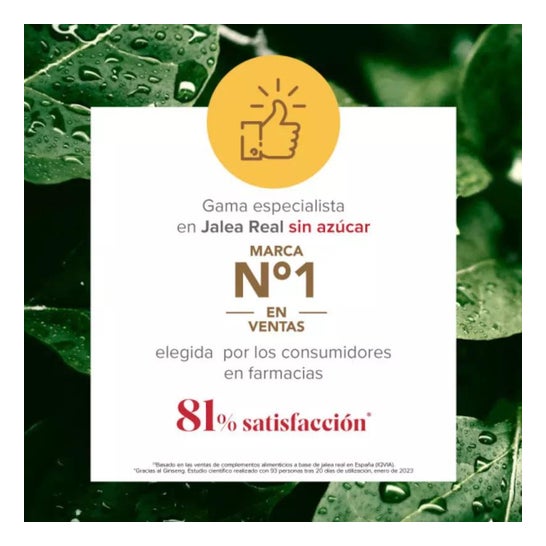 Arkopharma Arkoreal Jalea Real Ginseng Sin Azúcar 20ampollas