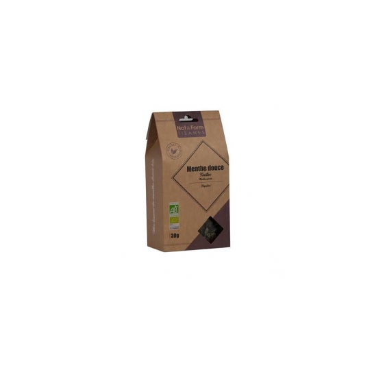 Tejido de menta dulce Nat&Form Bio 30G