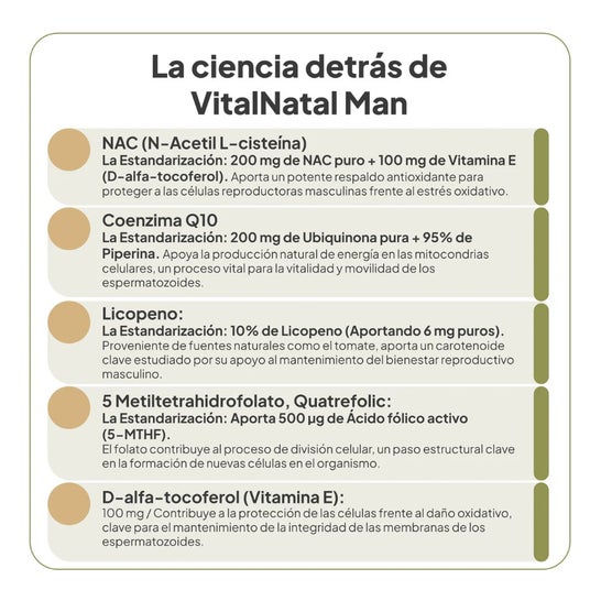 IVB Wellness Lab VitalNatal Man 60 caps