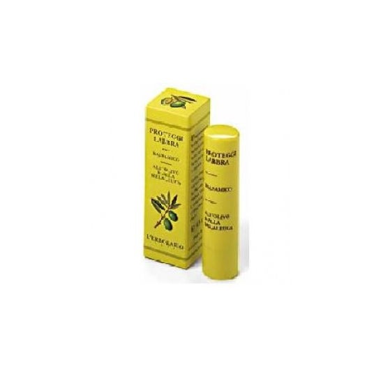 BÁLSAMO PROTECTOR LABIAL 4,5ML