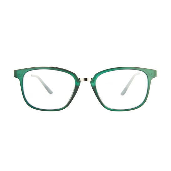 Nordic Vision Gafas de Lectura Alingsas +2.50 1ud