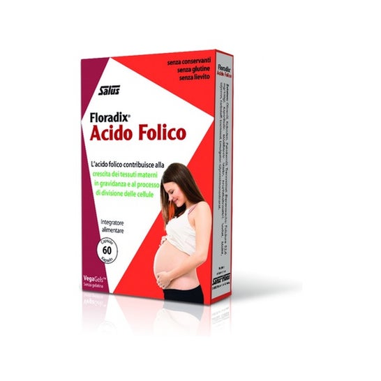Salus Floradix Ácido Fólico 60caps