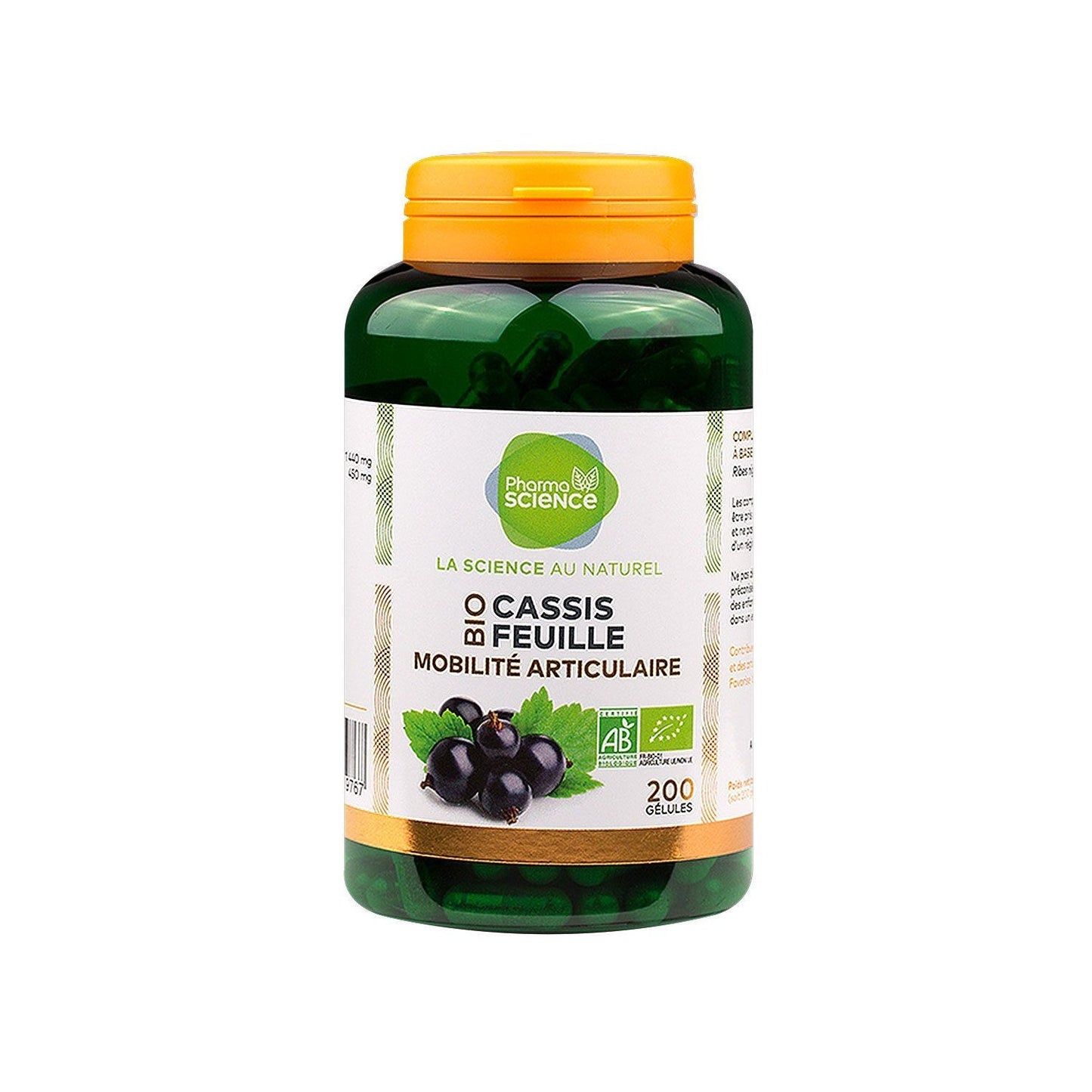 Pharmascience Hoja de grosella negra 200caps