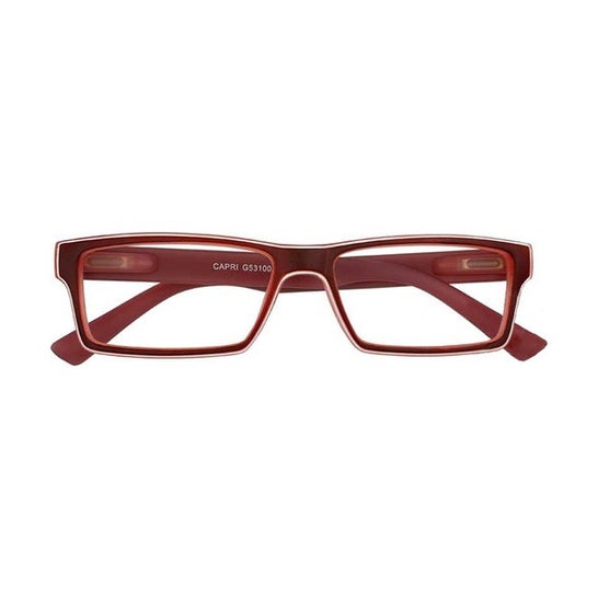 Acorvision Gafa Plegable Marrón +2.00 1ud
