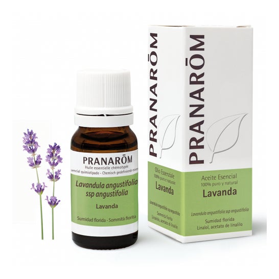 Pranarôm Aceite Esencial de Lavanda 10ml