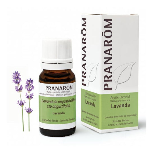 Pranarôm Aceite Esencial de Lavanda 10ml