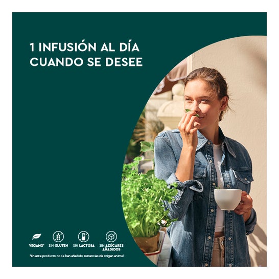 Adelgazante Kneipp 20 filtros