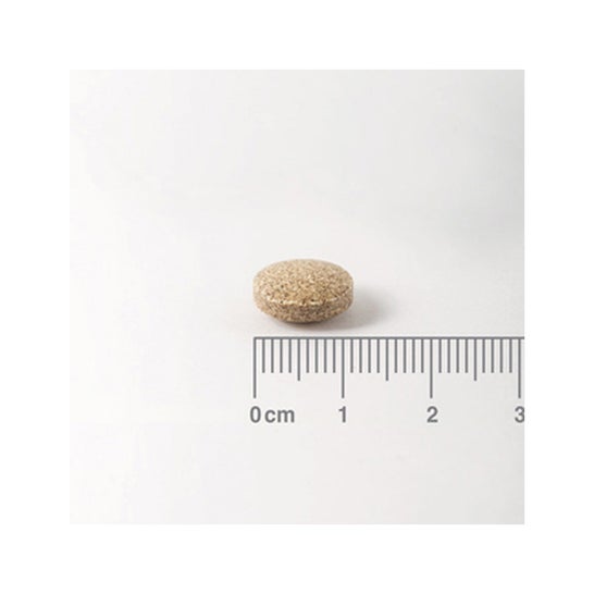Lamberts Ginkgo Biloba 6000mg 60 comprimidos